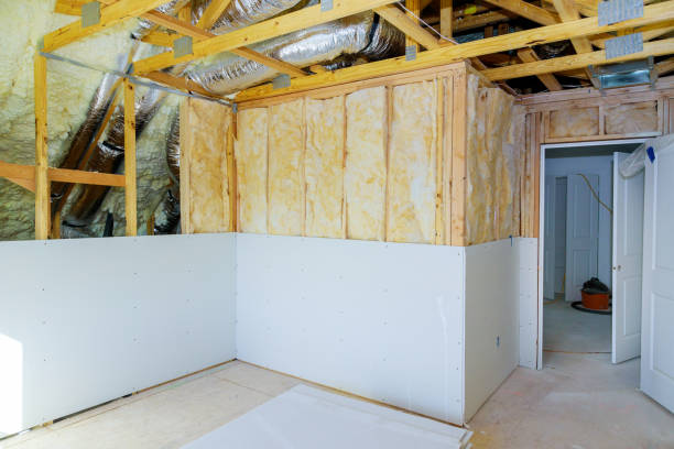 Best Eco-Friendly Insulation in Lyons, CO