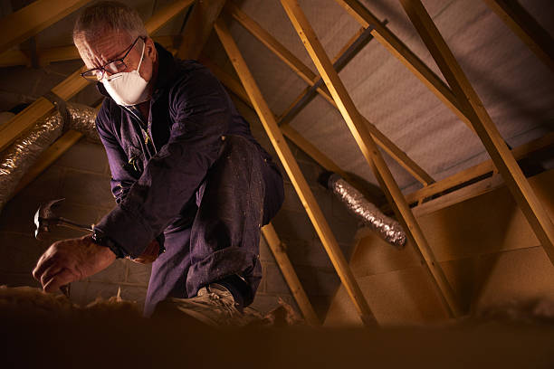 Best Commercial Insulation in Lyons, CO