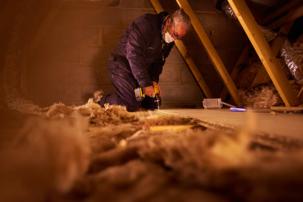 Types of Insulation We Offer in Lyons, CO